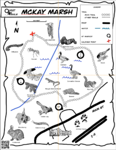 Quest Trails Map Version 3